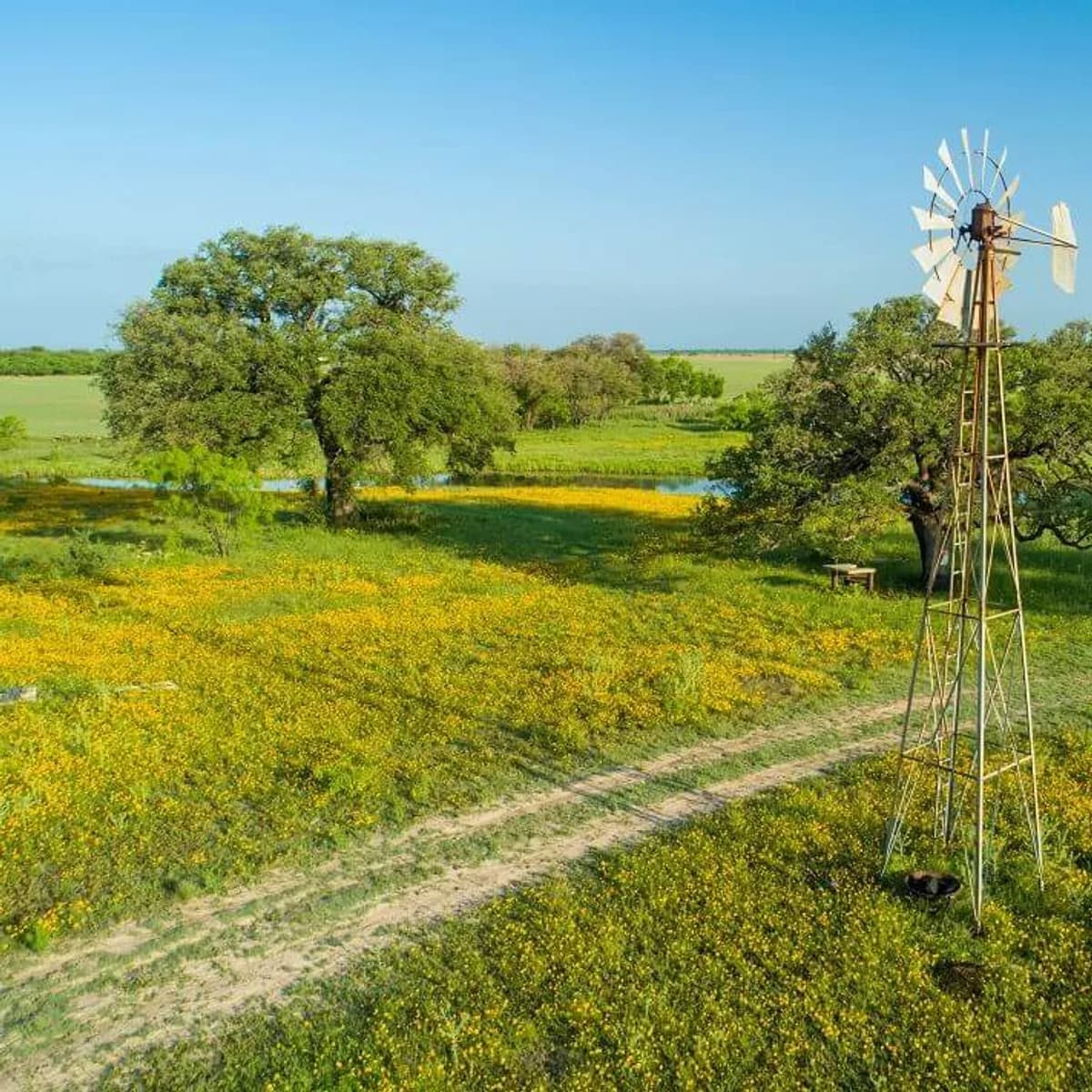 1000 Acres of land